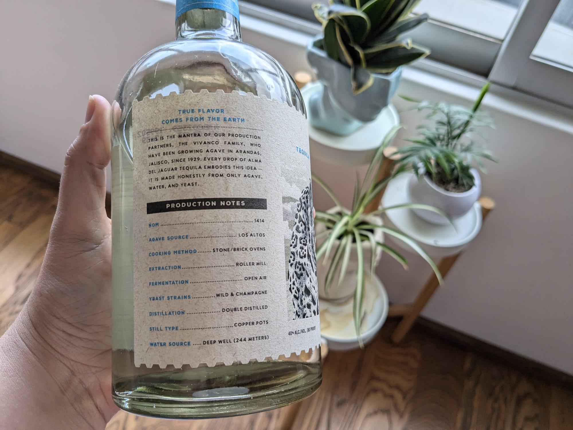 Caro's hand holding a bottle of Alma del Jaguar's tequila blanco, prominently displaying detailed production details. There are plants and a window in the background.